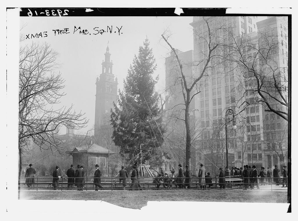a christmas tree was put up in madison square park