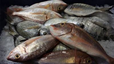 Θεσσαλονίκη: Κατάσχεση ακατάλληλων ψαριών με προορισμό ευαγή ιδρύματα