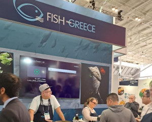 Διπλή παρουσία της ΕΛΟΠΥ σε κλαδικές εκθέσεις