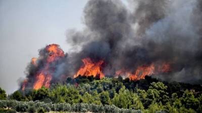 Υψηλός κίνδυνος πυρκαγιάς την Πέμπτη (12/8)-Οι περιοχές κατηγορίας κινδύνου 4