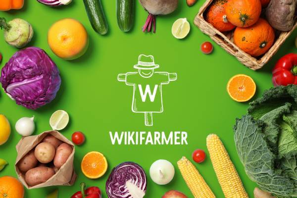 Wikifarmer: Ο «Έλληνας αγρότης» που κατακτά τον κόσμο φέρνει προϊόντα στην πόρτα σου