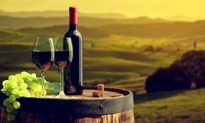 Ιταλία: Λιγότερη αλλά καλύτερη η φετινή παραγωγή κρασιού