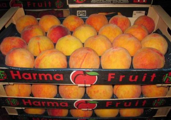 Επένδυση- &quot;χάρμα&quot; 6 εκατ. ευρώ από τη Ηarma Fruit στη FYROM