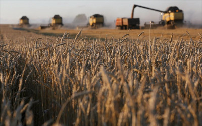 Ρωσία: Δηλώνει έτοιμη να αντικαταστήσει πλήρως τις ουκρανικές εξαγωγές σιτηρών