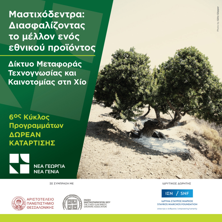 Νέα Γεωργία Νέα Γενιά: Δωρεάν πρόγραμμα κατάρτισης για τα Μαστιχόδεντρα