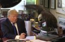 Αετός χάλασε το... μαλλί του Τραμπ! (video)