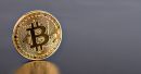 «Βασιλιάς» των νομισμάτων το bitcoin- Κέρδη 79%!