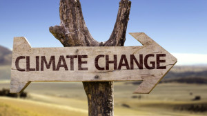ΟΗΕ: Οι υψηλές θερμοκρασίες θα συνεχιστούν ως το 2024!