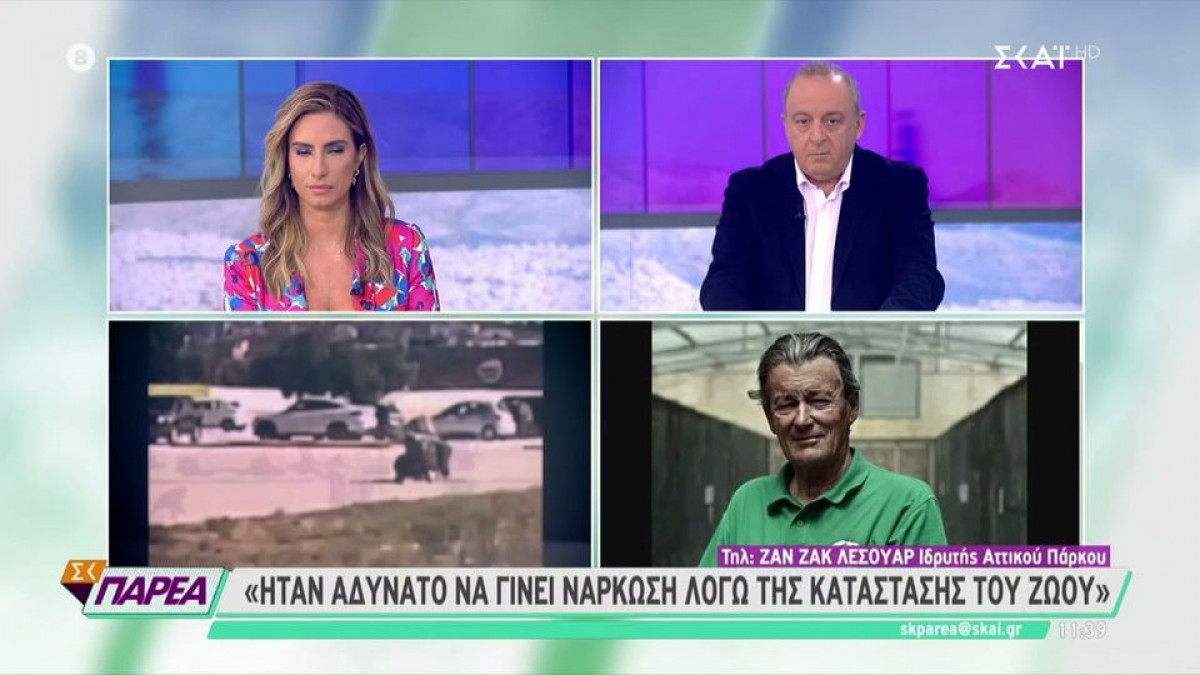 Ιδρυτής Αττικού Πάρκου: Ήταν αδύνατο να ναρκωθεί ο χιμπατζής