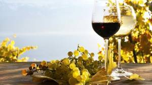 Εστίαση: Δραστική μείωση ΦΠΑ για τη διάσωση του ελληνικού κρασιού