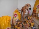 Δωρεάν τροφή για 6 μήνες σε όποιον υιοθετεί αδέσποτο σκύλο, δίνει η Pedigree