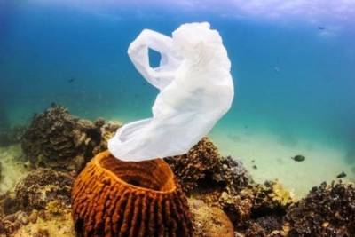 Έκκληση για δράση κατά της ρύπανσης από τα πλαστικά