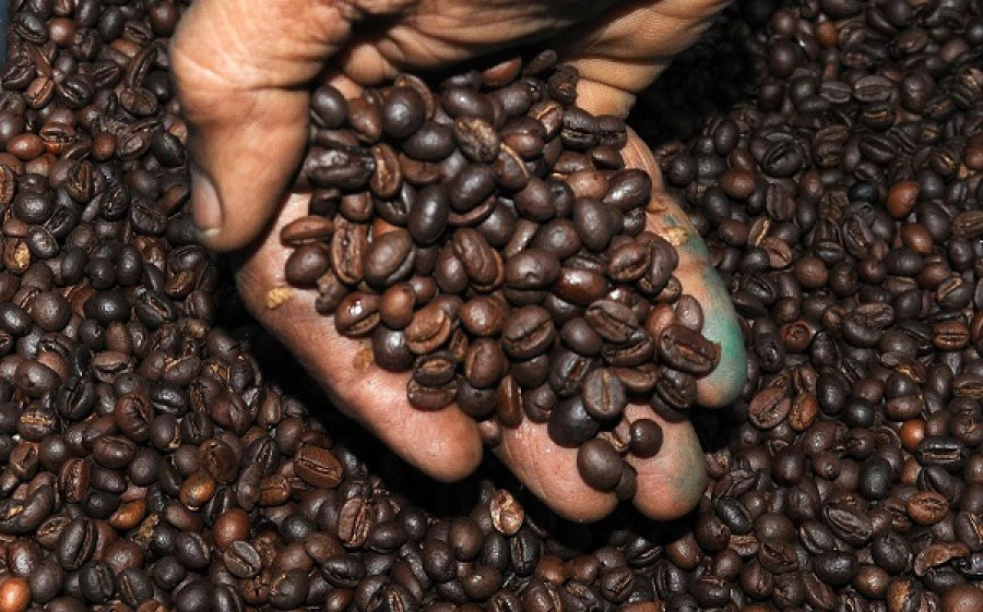Προς χαμηλό όλων των εποχών τα αποθέματα καφέ στη Βραζιλία