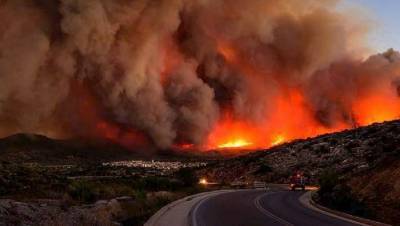Ολέθρια οικολογική καταστροφή από τις πυρκαγιές στη Ζάκυνθο
