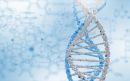 Αποθηκεύστε το DNA σας στο διαδίκτυο μέσω της Google