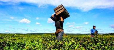 Ανοίγει ο δρόμος για την απασχόληση μεταναστών στην αγροτική οικονομία