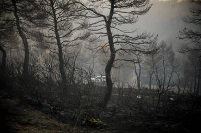 Αύξηση 450% των καμένων εκτάσεων στην Ελλάδα φέτος