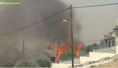 Δήμαρχος Ερυμάνθου: Κάηκαν σπίτια και ποιμνιοστάσια