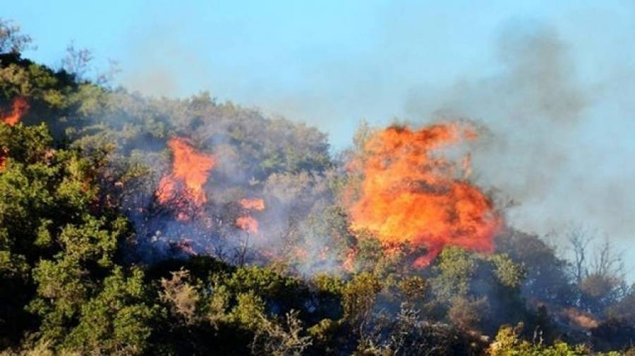 Μαίνεται η πύρινη λαίλαπα στη Ζάκυνθο-Σε δύο μέτωπα η πυρκαγιά