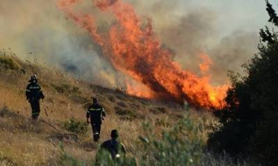 Πυρκαγιά ξέσπασε στον Τύρναβο Λαρίσης