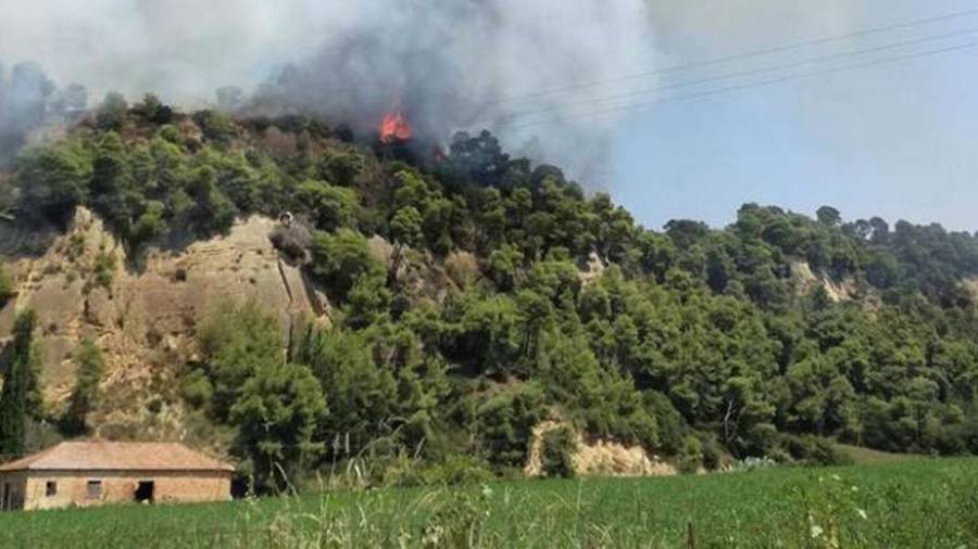 Μαίνεται η φωτιά στην Αμαλιάδα-Απομακρύνθηκαν ηλικιωμένοι από το χωριό Δαφνιώτισσα