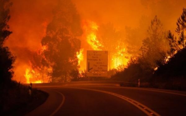 Νέα τραγωδία από πυρκαγιά: Τουλάχιστον 62 νεκροί στην Πορτογαλία (upd)