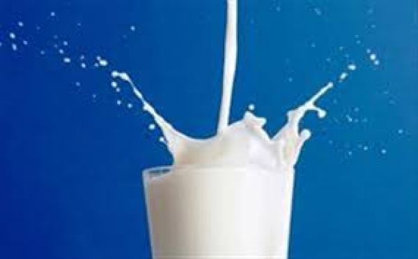 Νέο συνεταιριστικό γάλα βάζει &quot;μπουρλότο&quot; στις γαλακτοβιομηχανίες