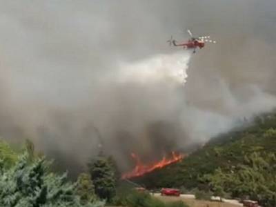 Αρχηγός Πυροσβεστικής: Καλύτερη η κατάσταση της φωτιάς στη Σταμάτα