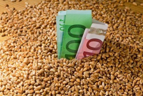 Ποιες καλλιέργειες δίνουν εισόδημα έως 4.000 ευρώ το στρέμμα