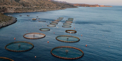 Στήριξη €51,335 εκατ. σε αλιεία- υδατοκαλλιέργεια: Αιτήσεις έως 15 Μαρτίου