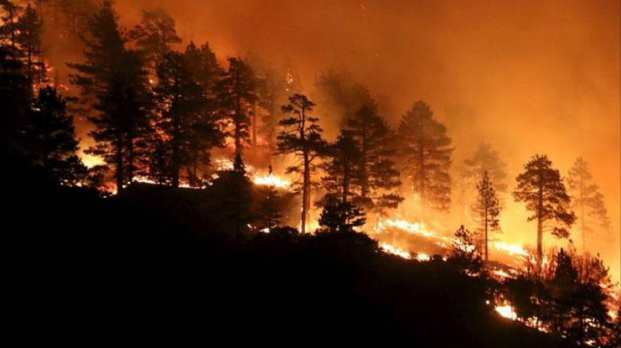 Πυροσβεστική: 43 δασικές πυρκαγιές το τελευταίο 24ωρο