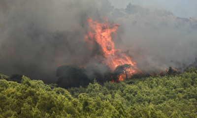 Κάρυστος: Μηνύματα 112 για εκκένωση οικισμών-Σε τρία μέτωπα η φωτιά