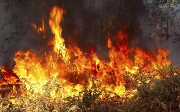 Δράμα: Πυρκαγιά σε δύσβατη ορεινή περιοχή