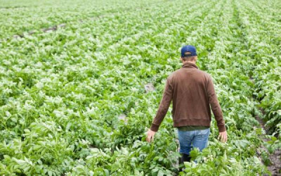 Νέοι Αγρότες: 85,47 εκατ. ευρώ για την Περιφέρεια Κεντρικής Μακεδονίας