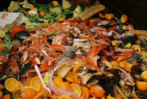 &quot;Large Ελληναράδες&quot;: Σχεδόν 4 στους 10 πετούν φαγητό στα σκουπίδια την ώρα που άλλοι πεινάνε
