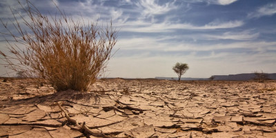 Το... σπιράλ της κλιματικής κρίσης: Φυσικές καταστροφές, πείνα και φτώχεια