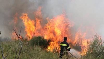 Μάχη με τις φλόγες στην Ηλεία