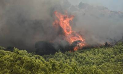 Υψηλός κίνδυνος πυρκαγιάς τη Τετάρτη (25/8)-Οι περιοχές κατηγορίας κινδύνου 3