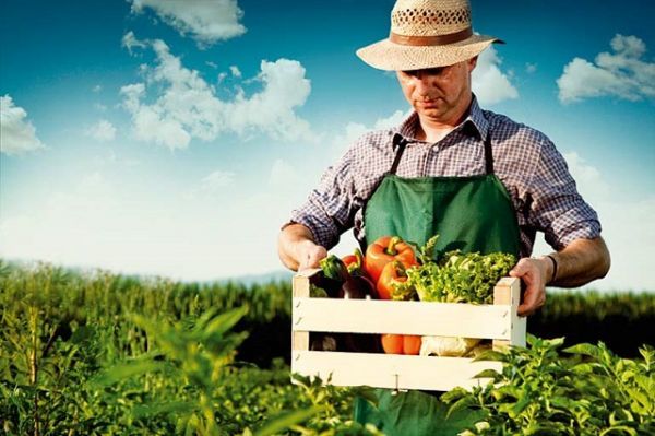 «ΚΑΤΑΝΑ»: Αναζητά τις πιο «έξυπνες» επιχειρηματικές ιδέες στον αγροδιατροφικό τομέα