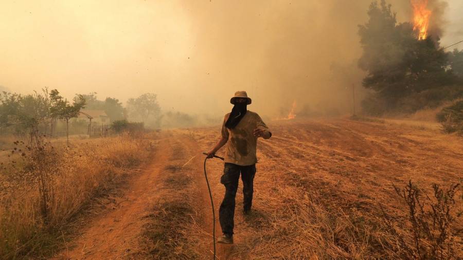 Οδηγός για την αποζημίωση των πληγέντων αγροτών από τις πυρκαγιές