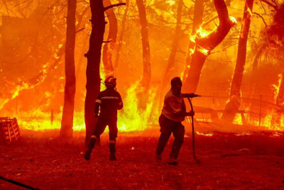 Πάνω από 935.000 στρέμματα χάθηκαν στη φωτιά του Έβρου