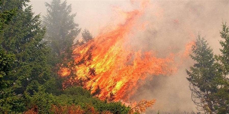 ΗΠΑ: Εκκενώθηκαν 2.500 σπίτια λόγω πυρκαγιάς στη νότια Καλιφόρνια