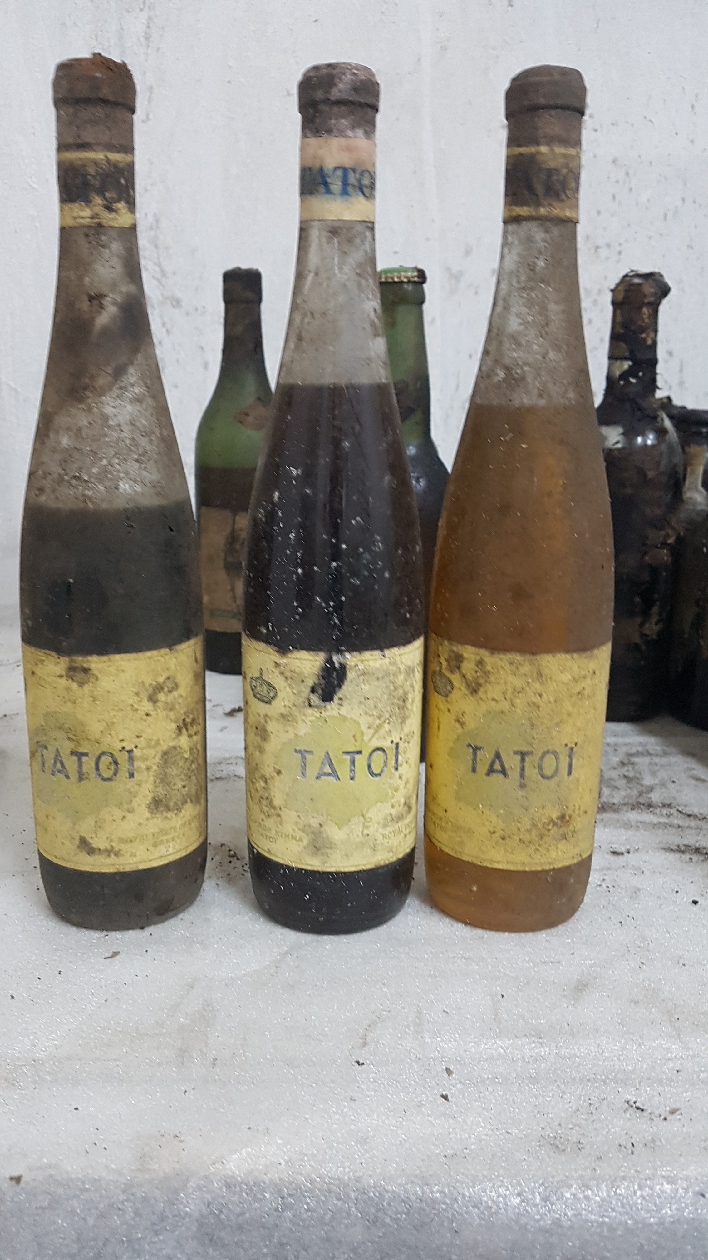 tatoikrasi