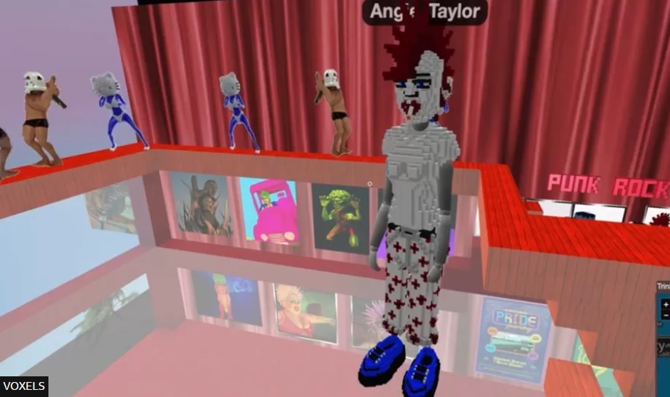angie taylor voxel