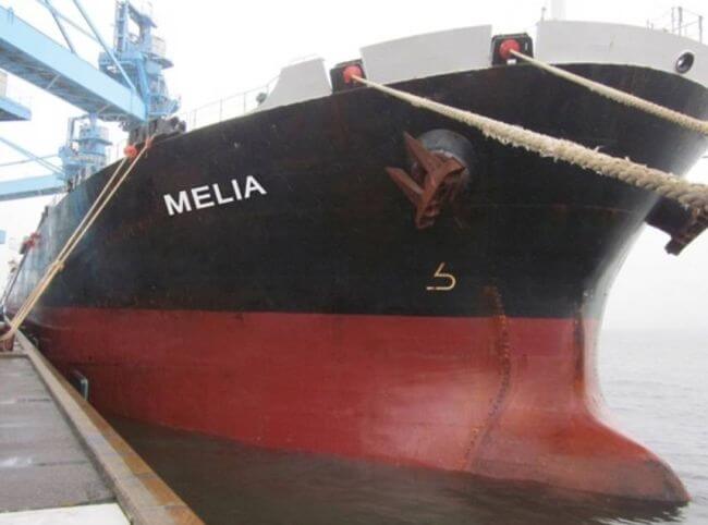 Diana Shipping MV Melia
