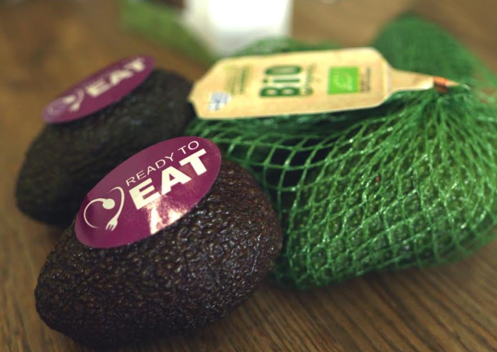 avocado