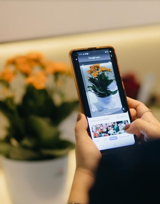 google lens 4