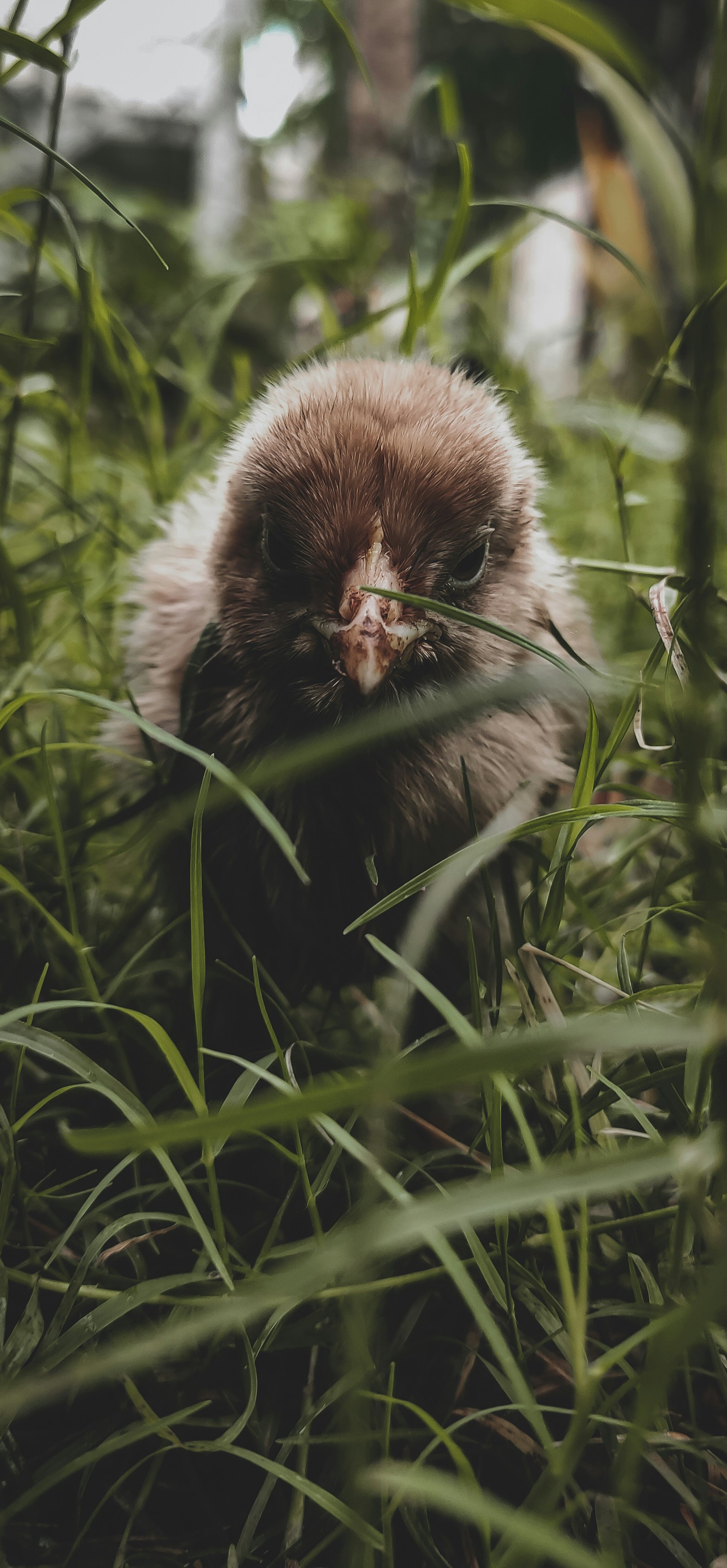 denis rayson uZgZBoT4luY unsplash