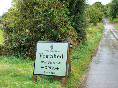 22-Veg-Shed