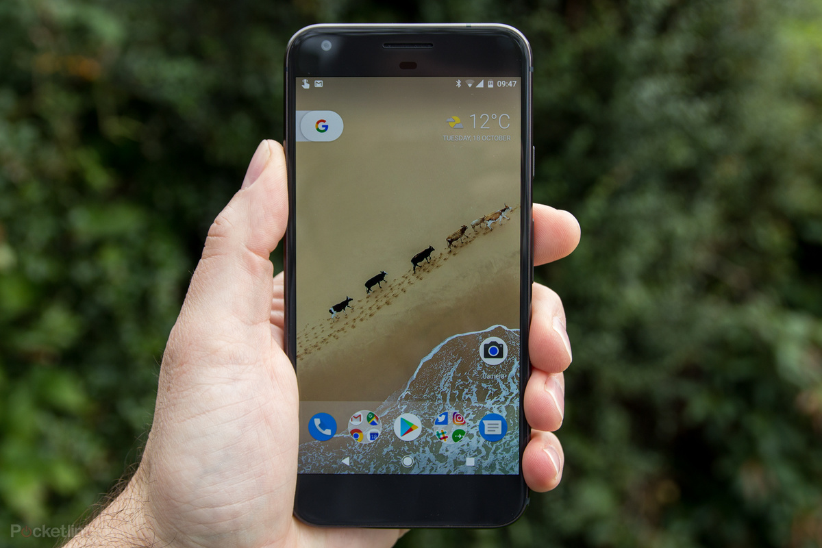 142007 phones news google pixel 2 to launch on 5 october will come with snapdragon 836 image1 q5oj9nrxy2